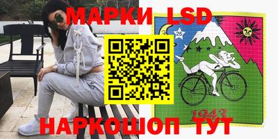 стафф Можга