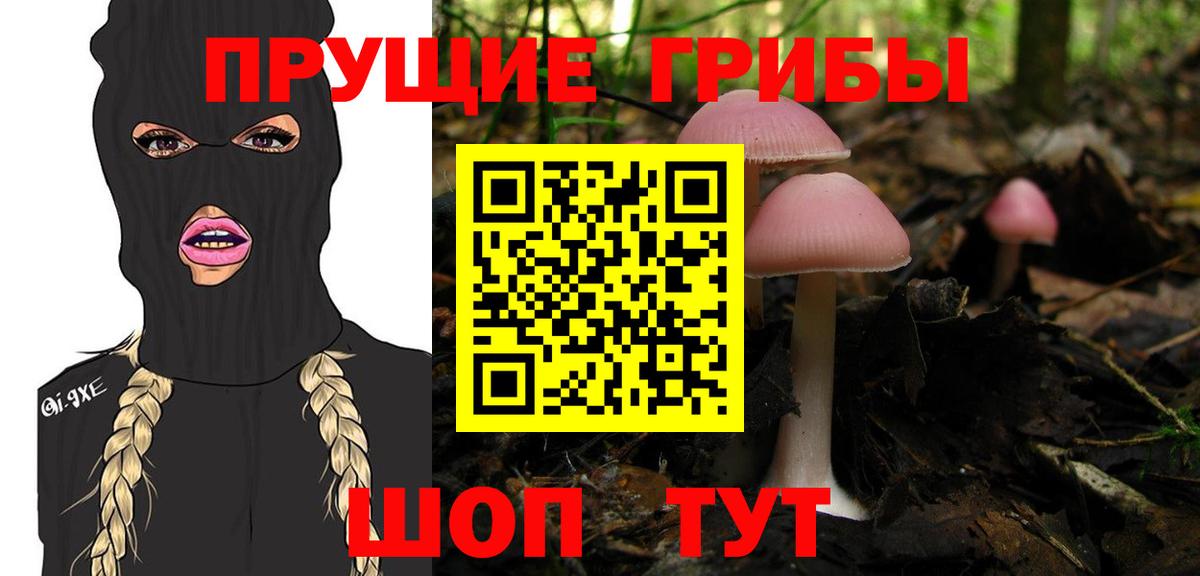 Псилоцибиновые грибы GOLDEN TEACHER Сокол