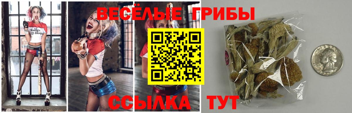 Галлюциногенные грибы Magic Shrooms  Вход с VPN  Сокол  Псилоцибиновые грибы ЛСД 